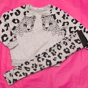 Leopard Gray